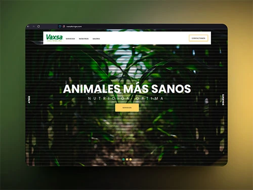 Paraiso dorado - bienes raíces